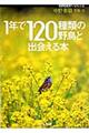 １年で１２０種類の野鳥と出会える本