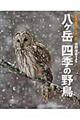 八ケ岳四季の野鳥