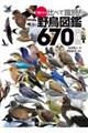 ♪鳥くんの比べて識別！野鳥図鑑６７０　第４版