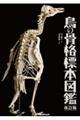 鳥の骨格標本図鑑 改訂版