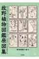 牧野植物図鑑原図集
