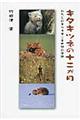 キタキツネの十二か月