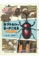 カブトムシの音がきこえる