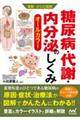 糖尿病・代謝・内分泌のしくみ