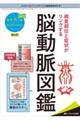 ブレインナーシング 38巻3号(2022.3)