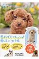 ふわふわDogs Diary 2017