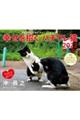 Kn`LJ_[@QOQQ