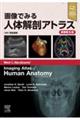 画像でみる人体解剖アトラス　原著第６版