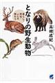となりの野生動物