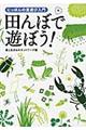 田んぼで遊ぼう！