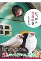 にっぽん文鳥絵巻