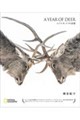 A YEAR OF DEER エゾシカ、ツノの記憶