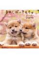 �܂߂��΂̂������J�����_�[�@�Q�O�P�X
