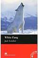 洋書＞Ｗｈｉｔｅ　ｆａｎｇ