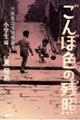 ごんぼ色の残照 大阪龍造寺町物語・小学生編