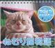 ねむり猫物語カレンダー　２０１７