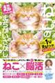 毎日脳活スペシャル 超にゃん問!ねこのまちがいさがし ねこの手いっぱいの巻