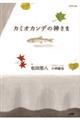 J~IJf̐_