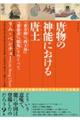 唐物の神能における唐土