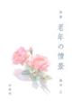 VN̏i