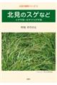 北見のスゲなど イグサ科・カヤツリグサ科