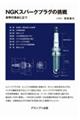 NGKXp[NvO̒\E̒_ɗ