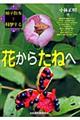 �Ԃ��炽�˂�