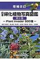 日本帰化植物写真図鑑　第２巻　増補改訂