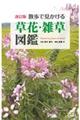 散歩で見かける草花・雑草図鑑　改訂版