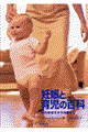 �D�P�ƈ玙�̕S��