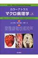 カラーアトラスマクロ病理学　第３版