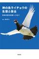 神の鳥ライチョウの生態と保全