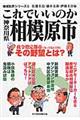 これでいいのか神奈川県相模原市