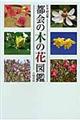 都会の木の花図鑑　新装版