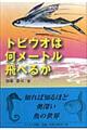 �g�r�E�I�͉����[�g����ׂ邩