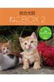 岩合光昭ねこＢＯＸ　２