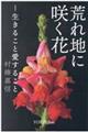 rnɍ炭