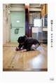 ACz[