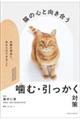 猫の心と向き合う 噛む・引っかく対策 〜攻撃の理由と、あなたができること