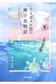 ウミガメが見た種子島物語