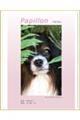 Papillon パピヨン