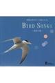BIRD SONGS 海辺の鳥