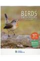 BIRDS IN SEASONS卓上カレンダー 2021