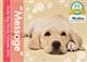 ӓ`eB[J_[glh@QOPU