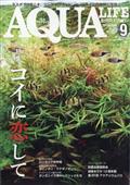 月刊 AQUA LIFE (アクアライフ) 2024年 09月号