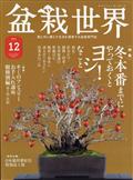 盆栽世界　２０２１年　１２月号