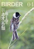 ＢＩＲＤＥＲ　（バーダー）　２０２１年　０４月号