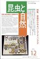 昆虫と自然増刊　昆虫のＤＮＡバーコーディング　‐日本の現状‐　２０２２年　１２月号