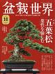 盆栽世界　２０２１年　１０月号