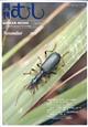 月刊 むし 2025年 11月号
